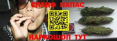 винт Ставрополь
