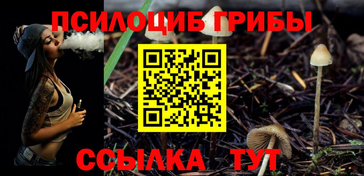 Борзя  Галлюциногенные грибы прущие грибы  Вход с VPN 